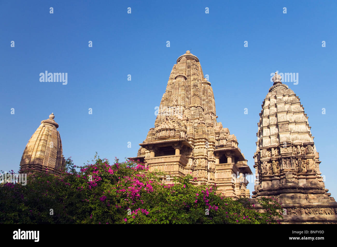 India famous temples hi-res stock photography and images - Alamy