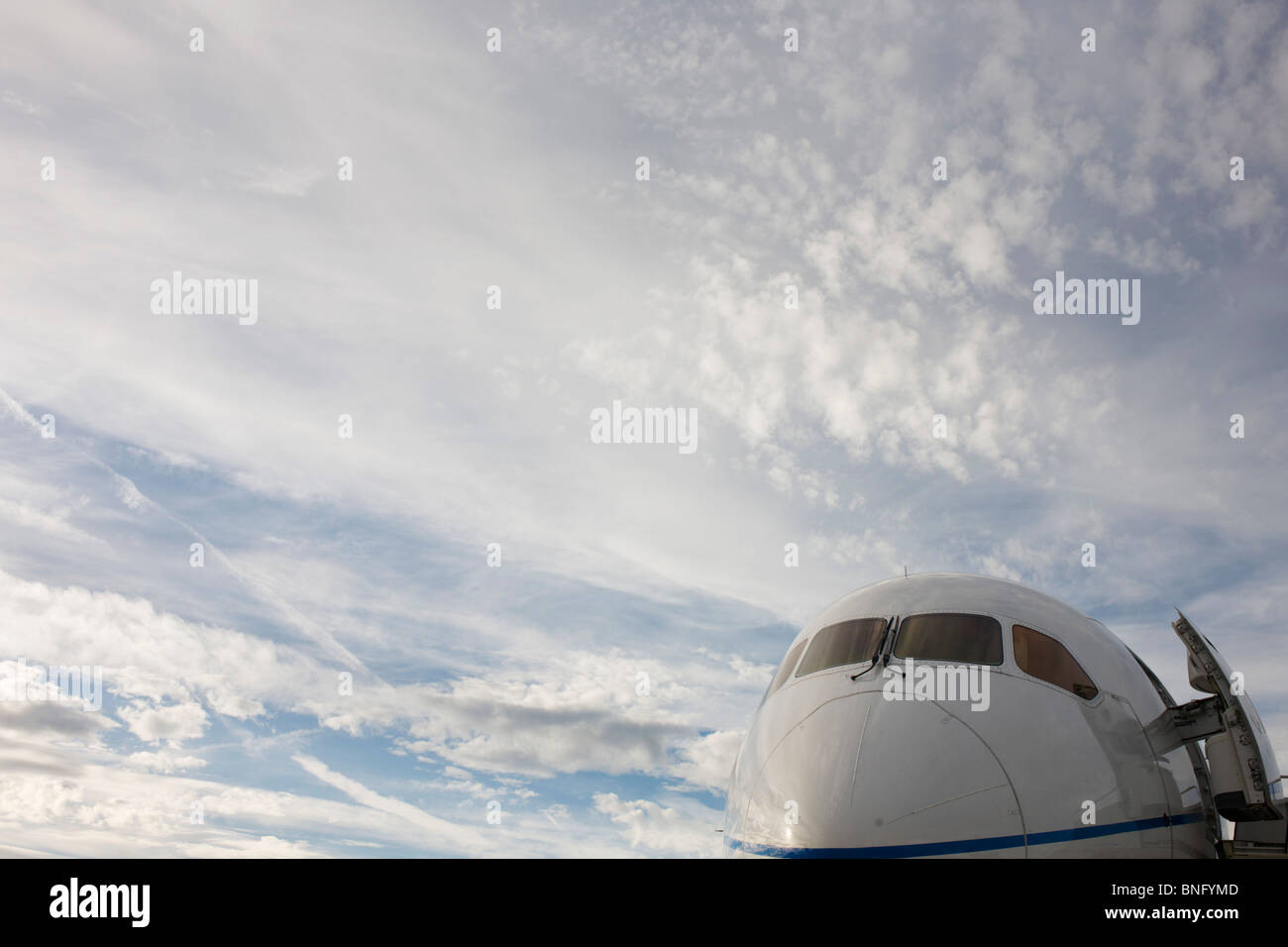 The Birth of the 787 Dreamliner: Turner, Edgar: Amazon.com