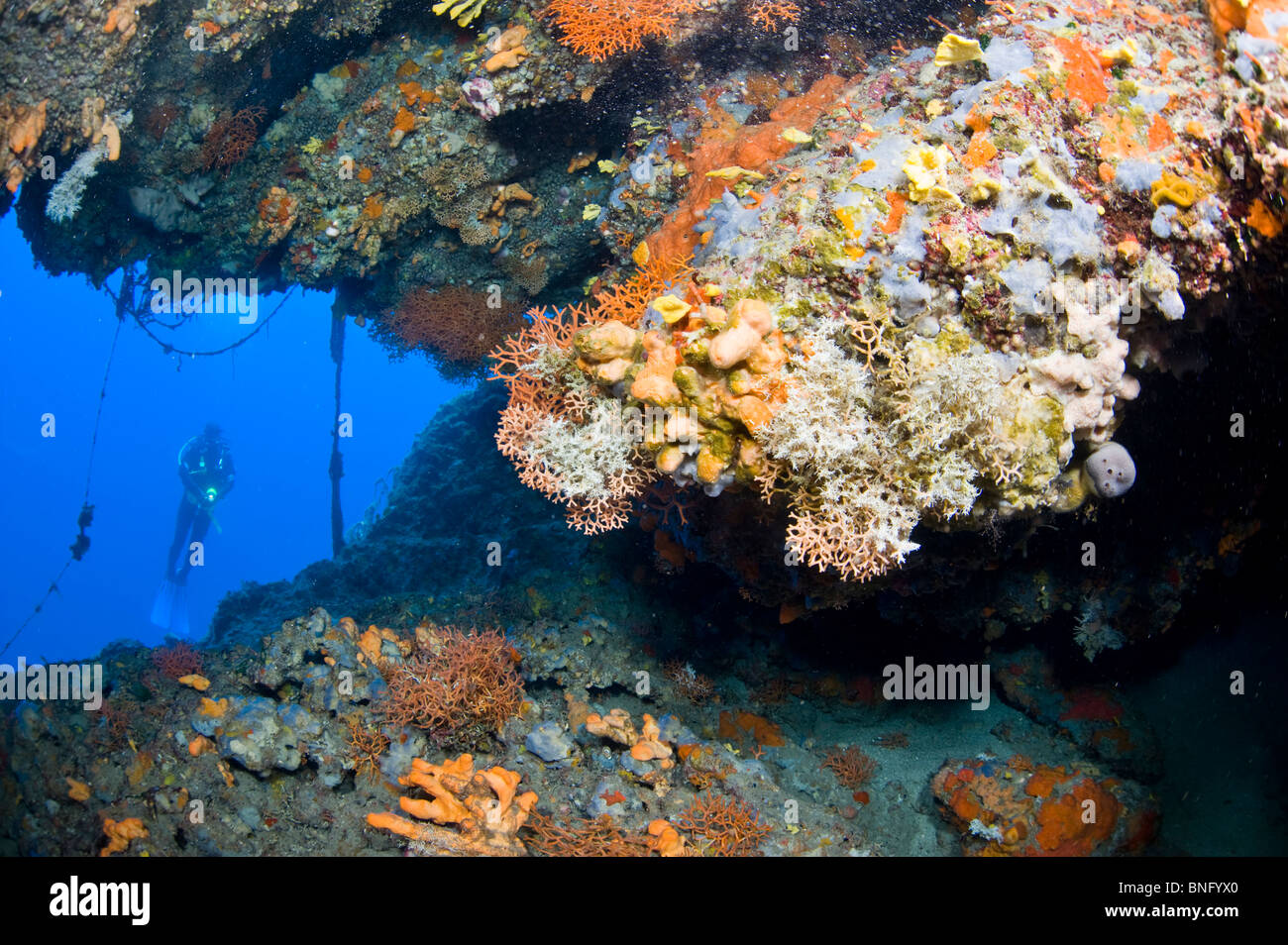 Scuba diver under colorful overhang in Korcula Island, Croatia Stock Photo