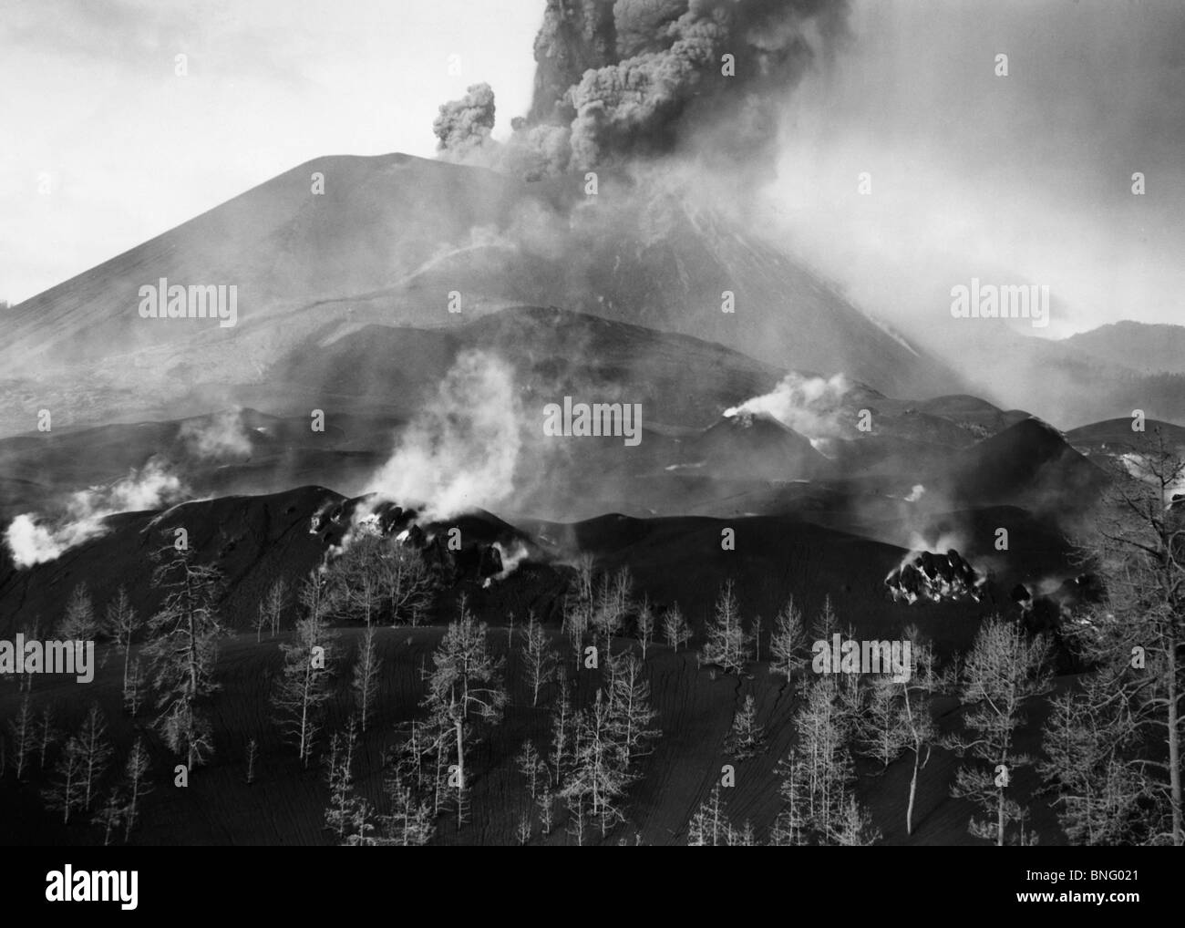 Mexico, Michoacan, Paricutin, Smoke erupting from a volcano Stock Photo