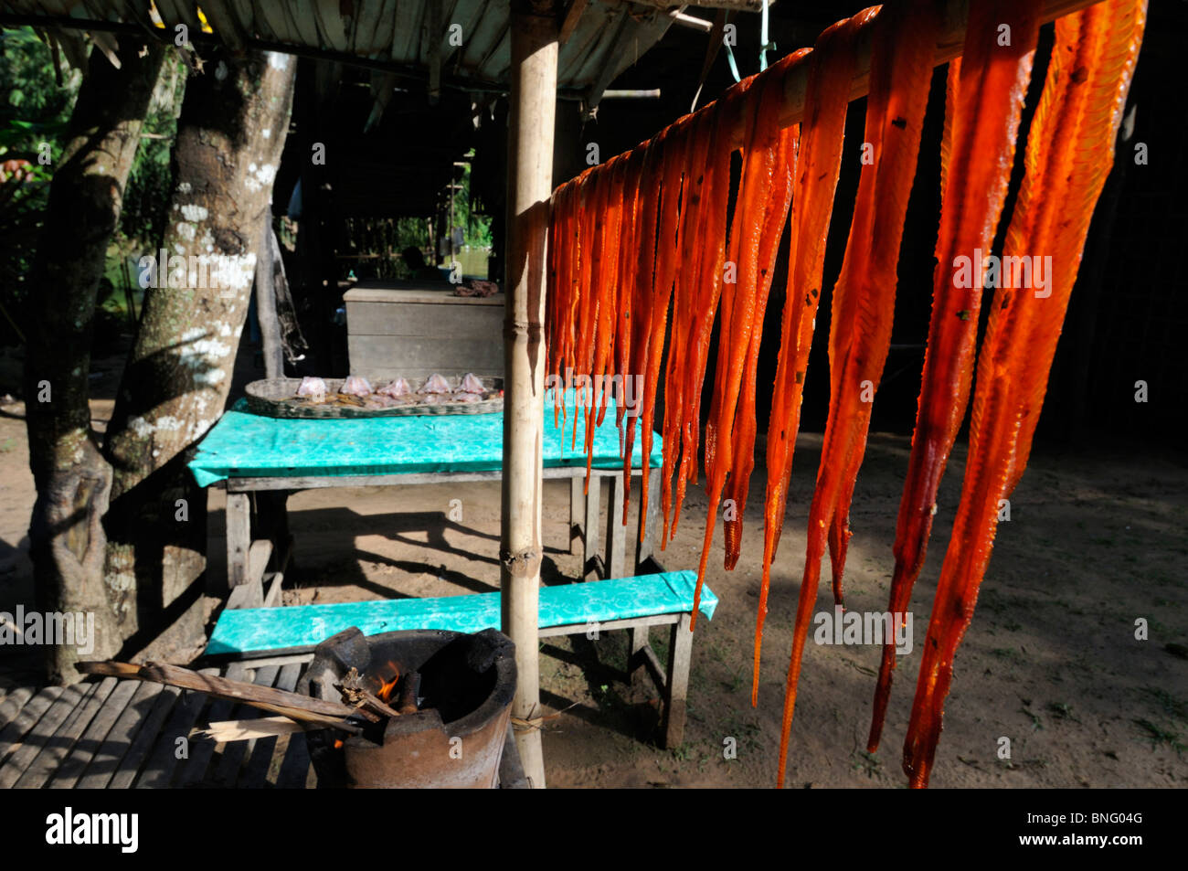 Selling dried snakes, Cambodia Stock Photo - Alamy