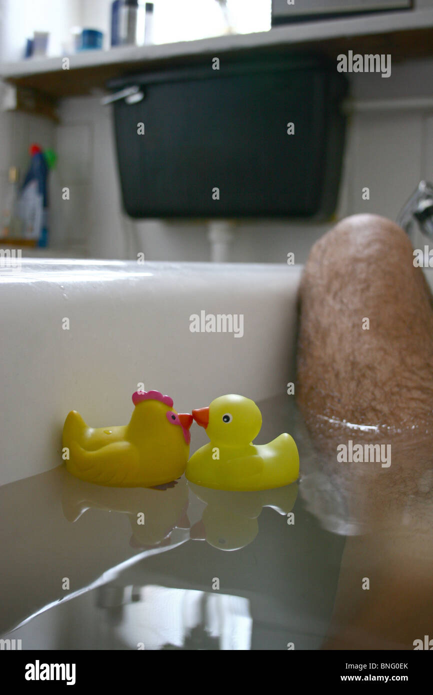 Rubber ducks kissing in the bath Stock Photo