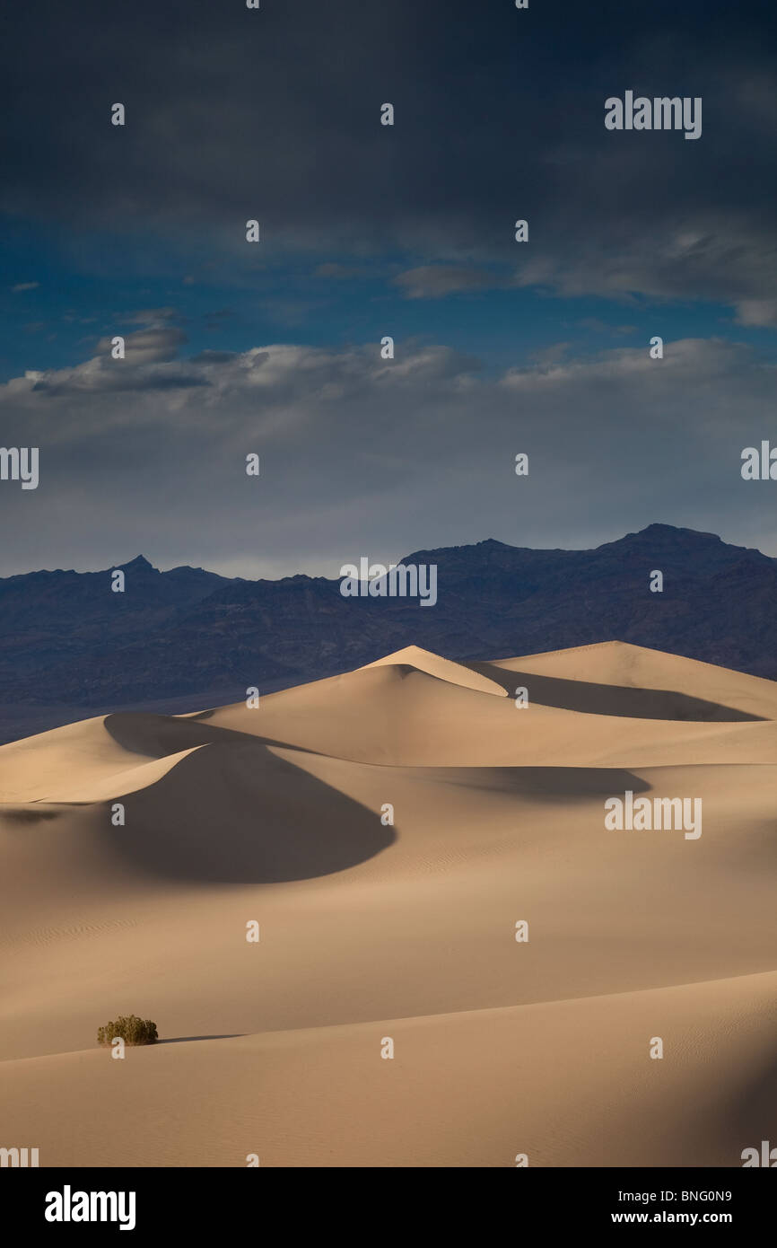 Mesquite Dunes near Stovepipe Wells Death Valley CA USA Stock Photo