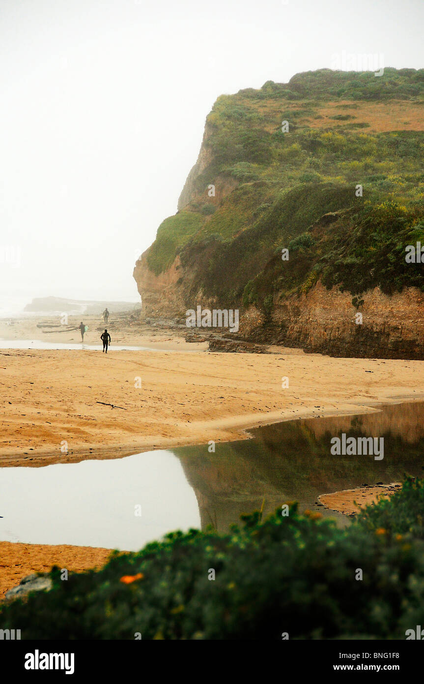Surfers walking on the beach, Steamer Lane, Santa Cruz, California, USA