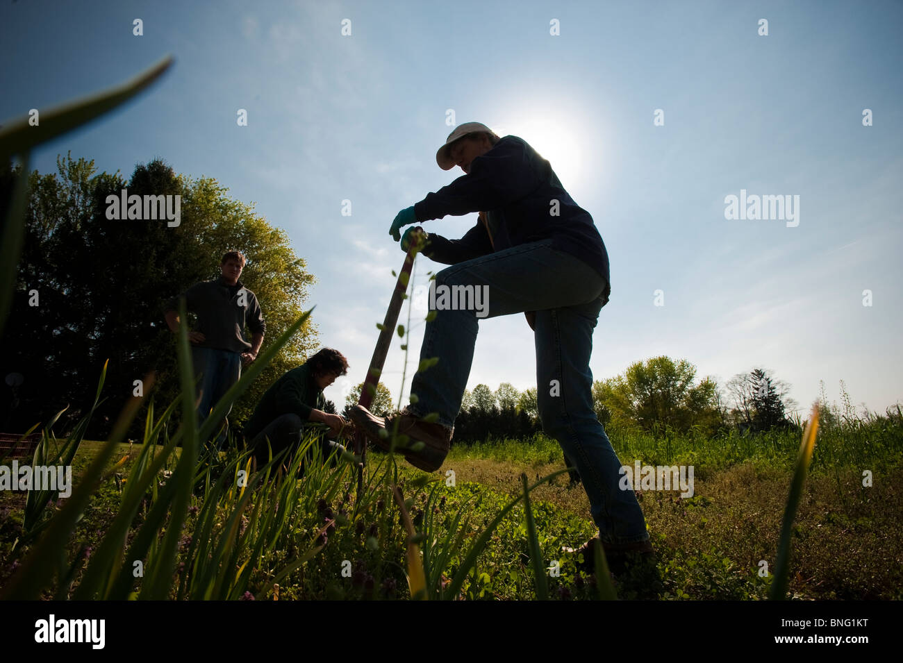 People working on organic farm Stock Photo