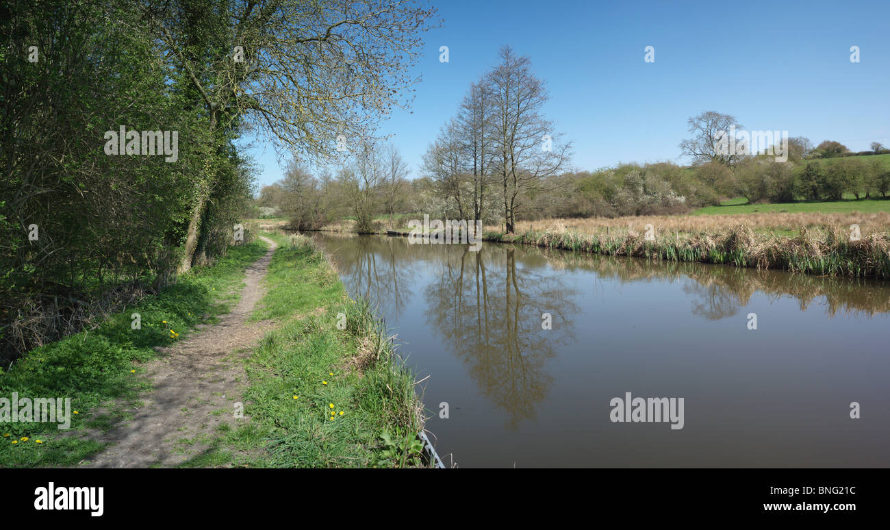 The banks of a river, with bushes and trees Stock Photo - Alamy