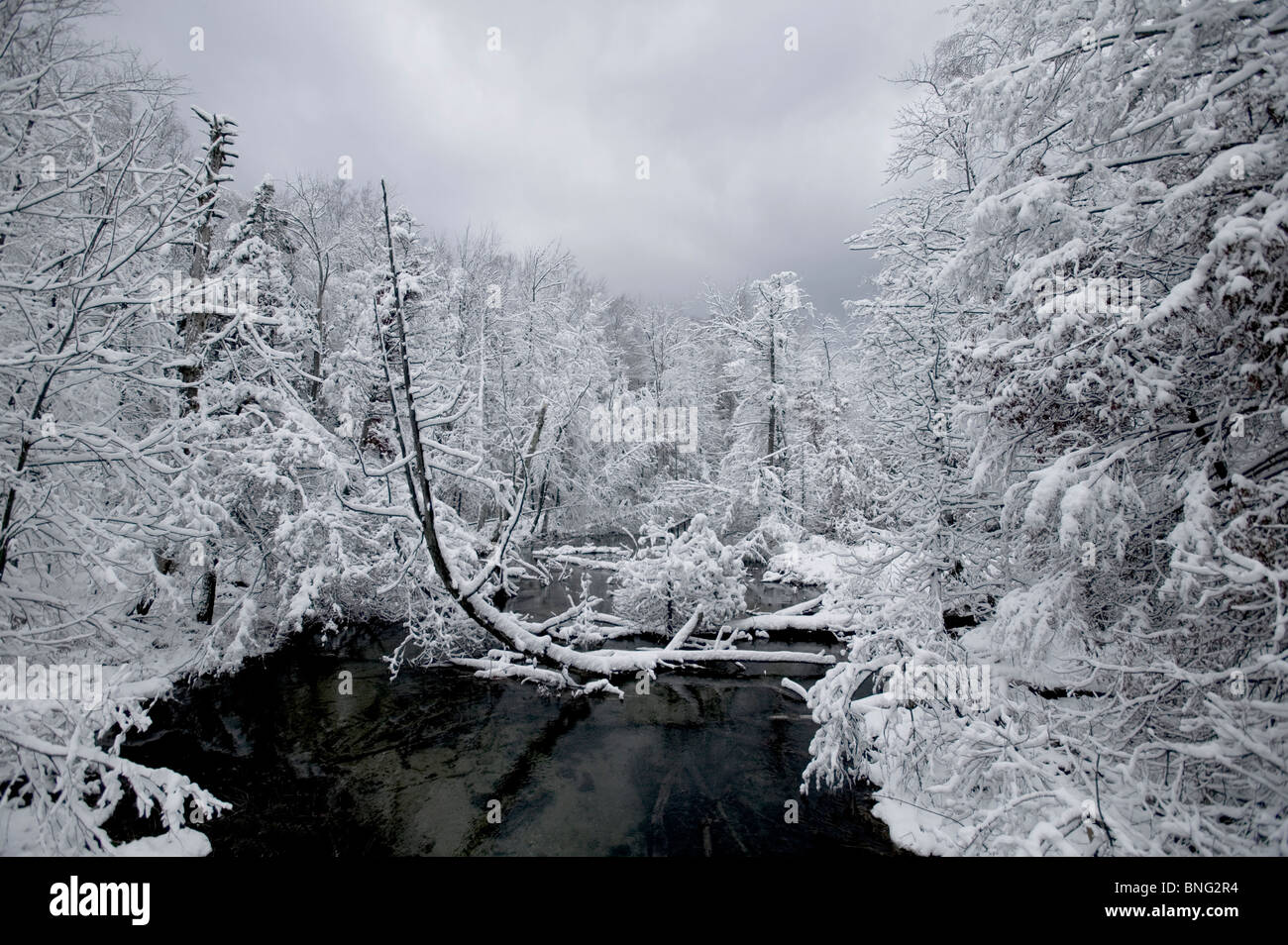 River flowing through a snow covered forest Stock Photo - Alamy