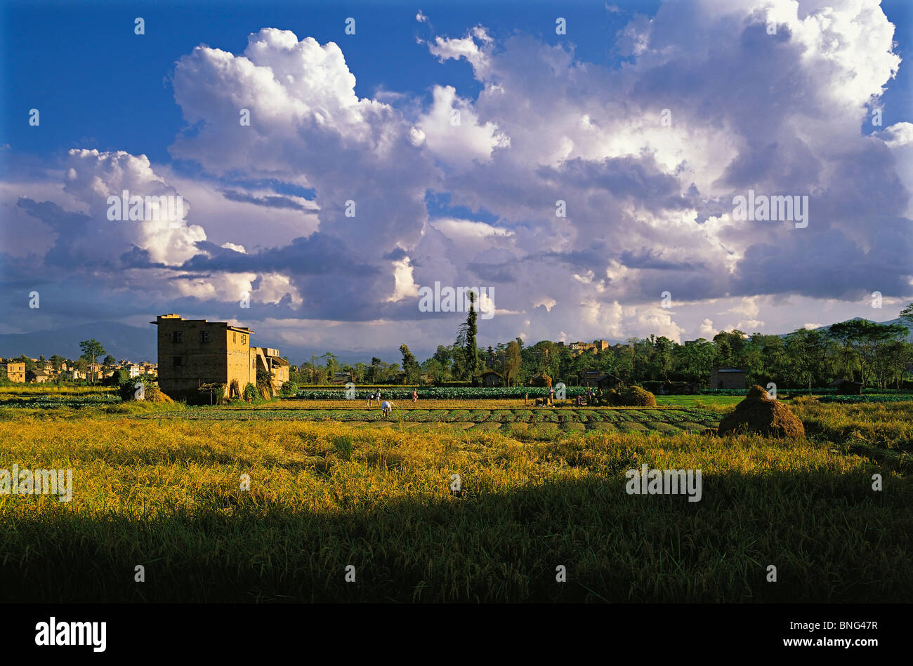 Monsoon clouds over fertile rice-fields in the Kathmandu valley with the distant outskirts of the city, Nepal Stock Photo