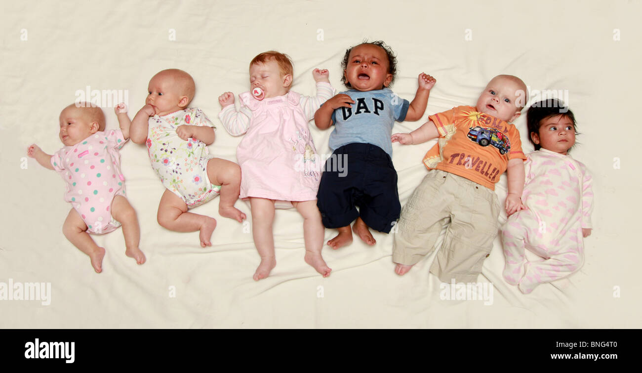 Baby backs hires stock photography and images Alamy