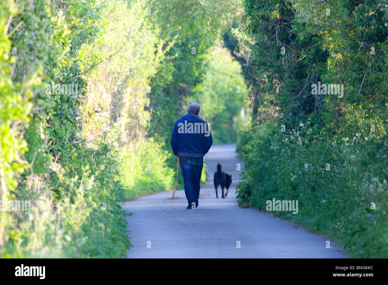 Man walking his dog down a country lane Stock Photo