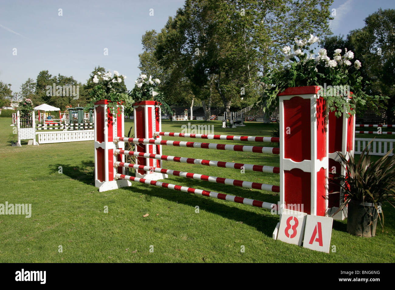Horse jumping fence Stock Photo Alamy