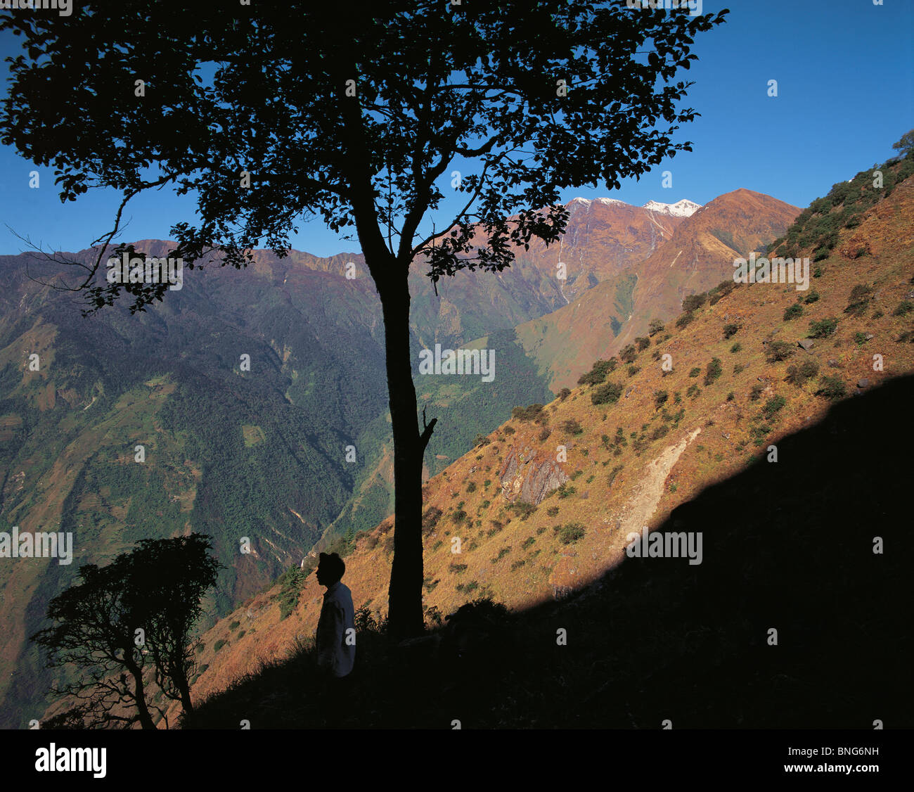 A resting porter beneath a tree looks out past steep hillsides to the Kali Gandaki valley in west-central Nepal Stock Photo