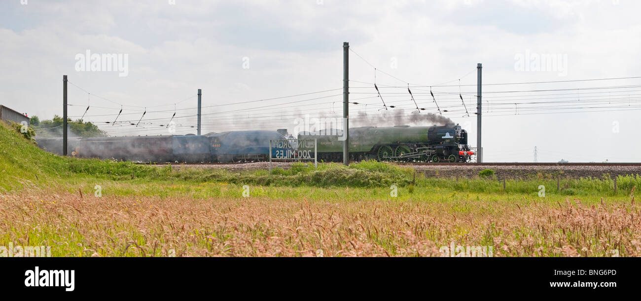 The newly built Tornado pulls the iconic Mallard steam train to Shildon from York. Stock Photo