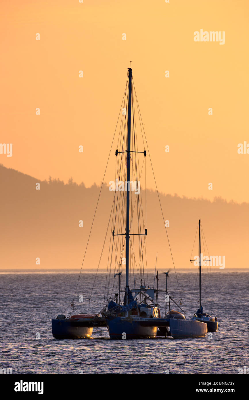 Sailboats racing in the sea, Oak Bay, Victoria, Vancouver Island