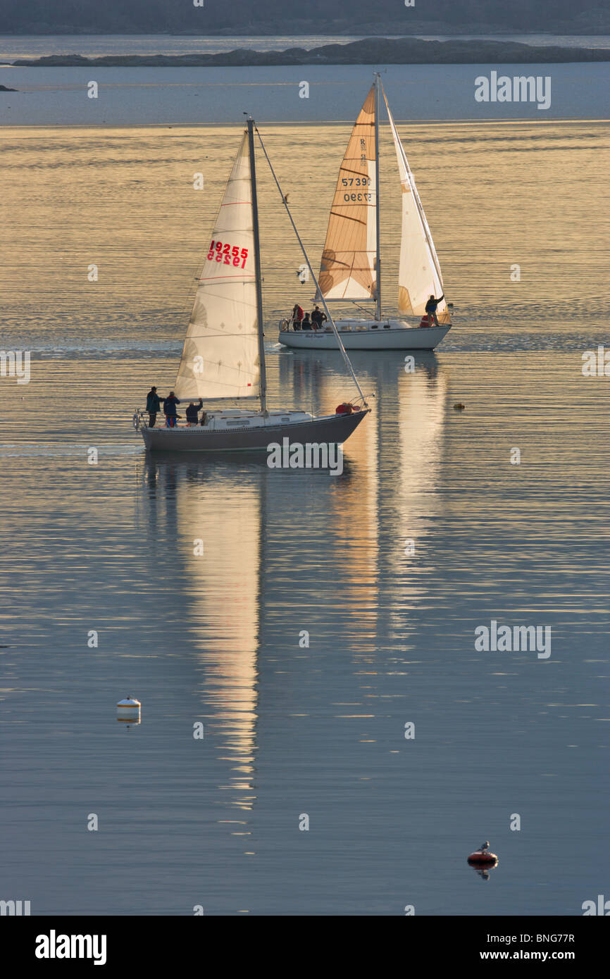 Sailboats racing in the sea, Royal Victoria Yacht Club, Victoria