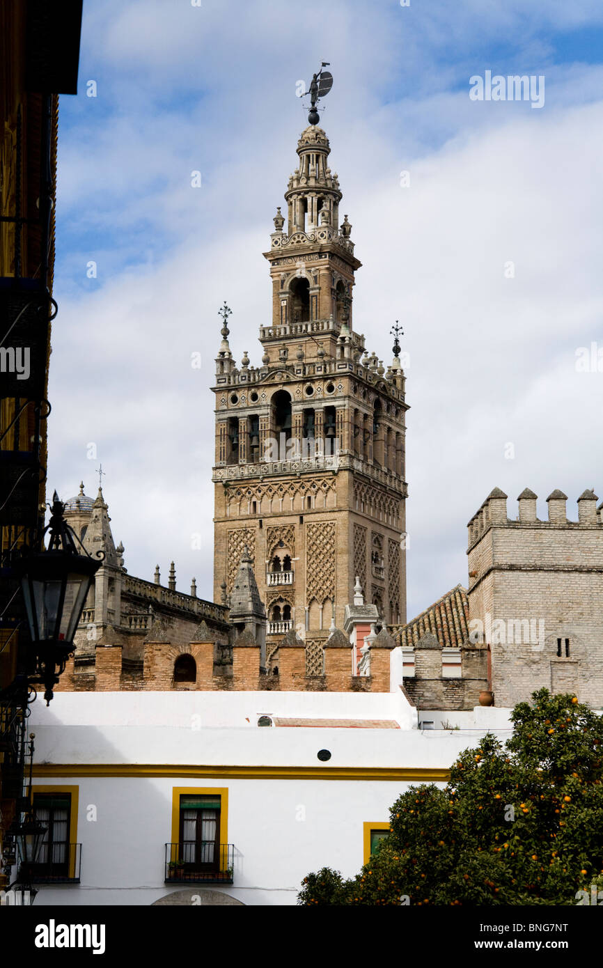 Top of Giralda tower (former mosque minaret converted into Cathedral bell tower) seen over roof tops. Seville / Sevilla Spain. Stock Photo