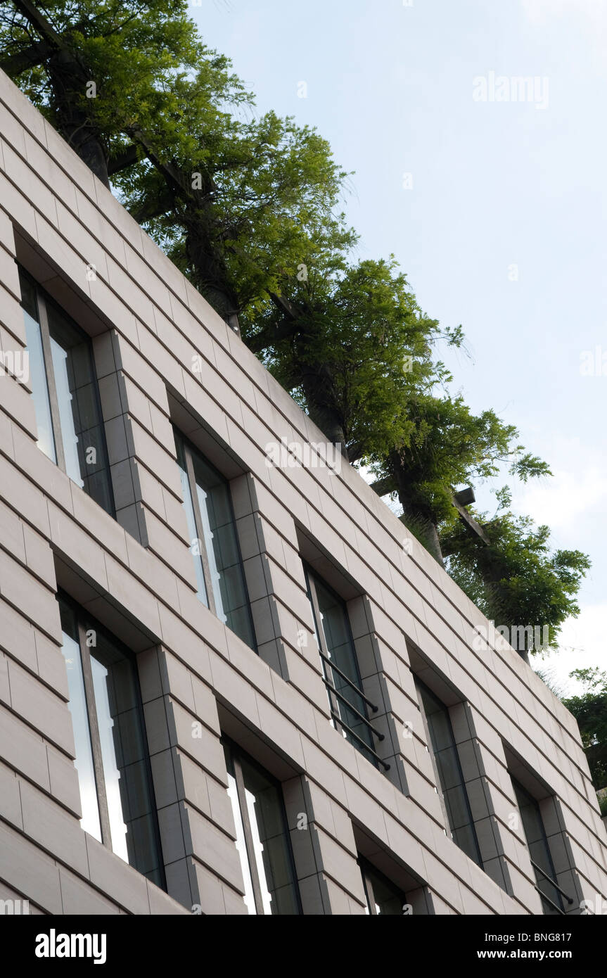 Trees on top of a modern building, Stirling Square Building near ...