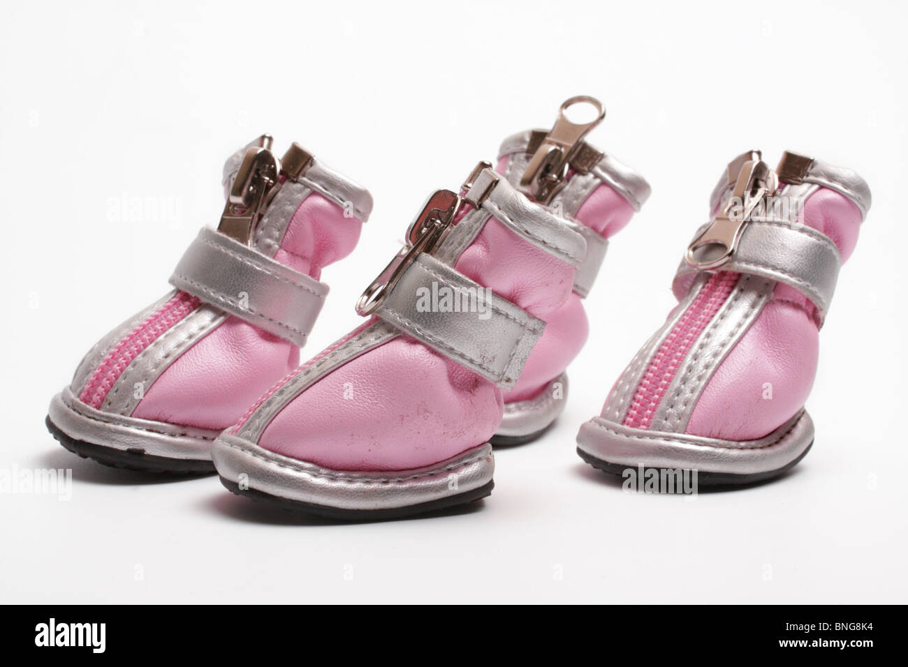 Pink dogs boots on a white Stock Photo Alamy