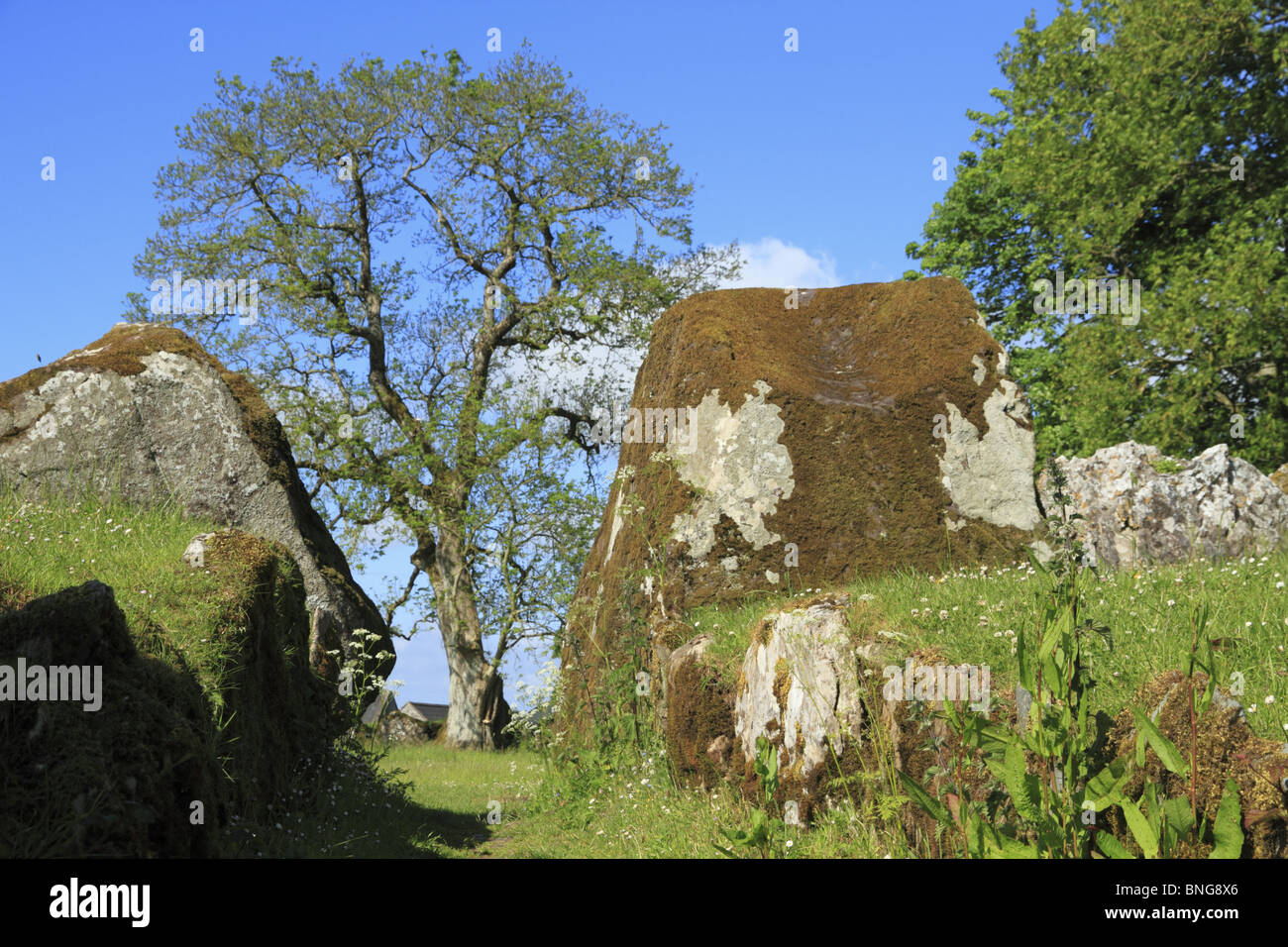 Grange Stone Circle in County Limerick, Rep. of Ireland. Stock Photo