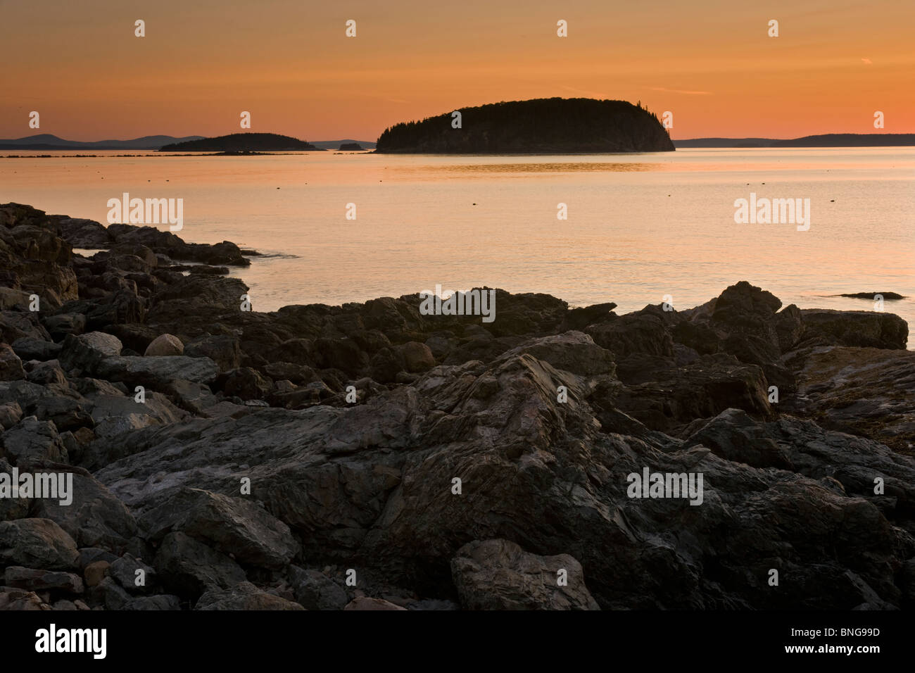 Sunrise, Dorr Point, Acadia National Park, Mt. Desert Island, Maine
