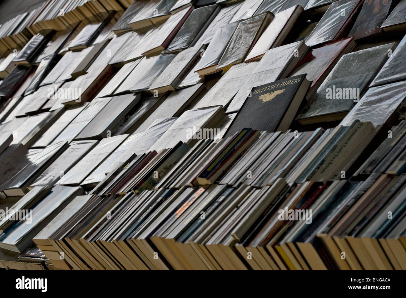 Second-hand books on a book stall on the South Bank of the River Thames, London, UK Stock Photo