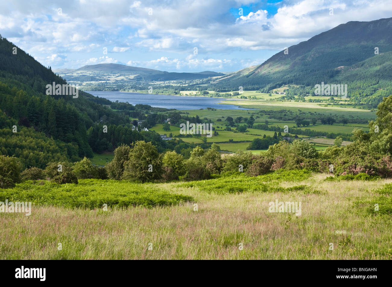 View of Bassenthwaite Lake with Skiddaw to the right and Thornthwaite village and Forest to the left, The Lake District, UK Stock Photo