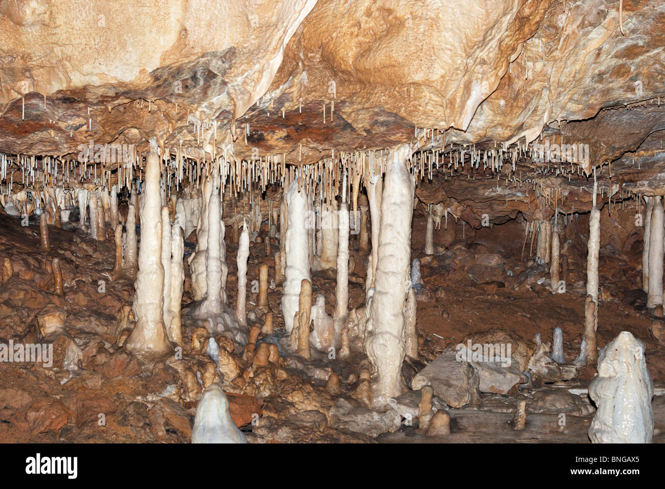 stalactites - Javorice caves Stock Photo