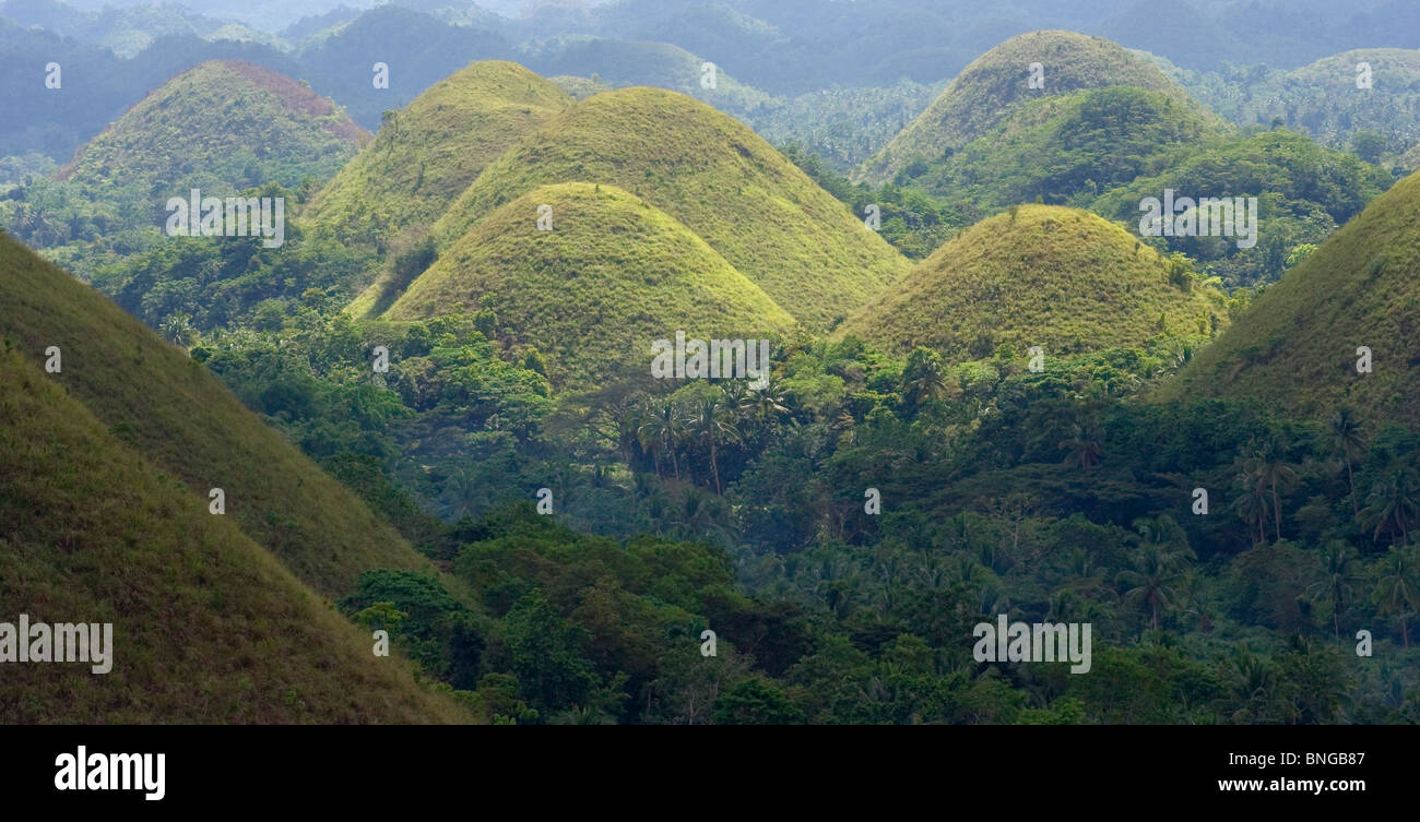 View of the famous Chocolate Hills, Bohol, Philippines Stock Photo