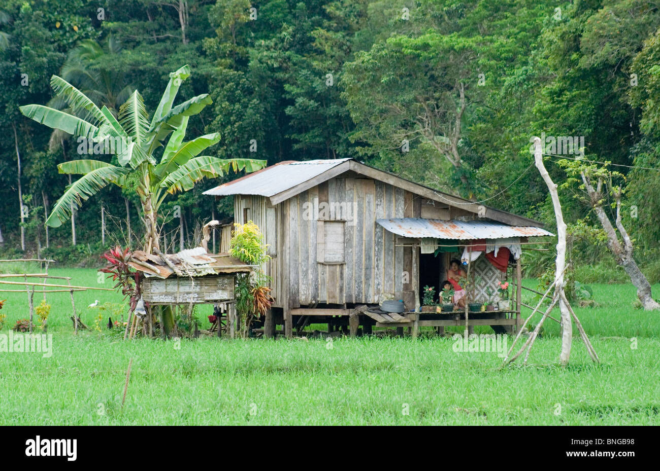 Average House In The Philippines