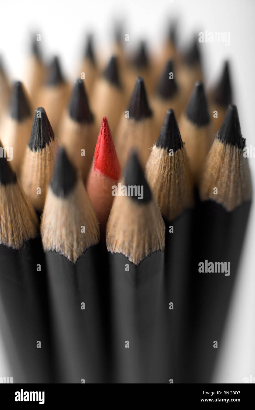 A bunch of graphite pencils with one red in the middle Stock Photo