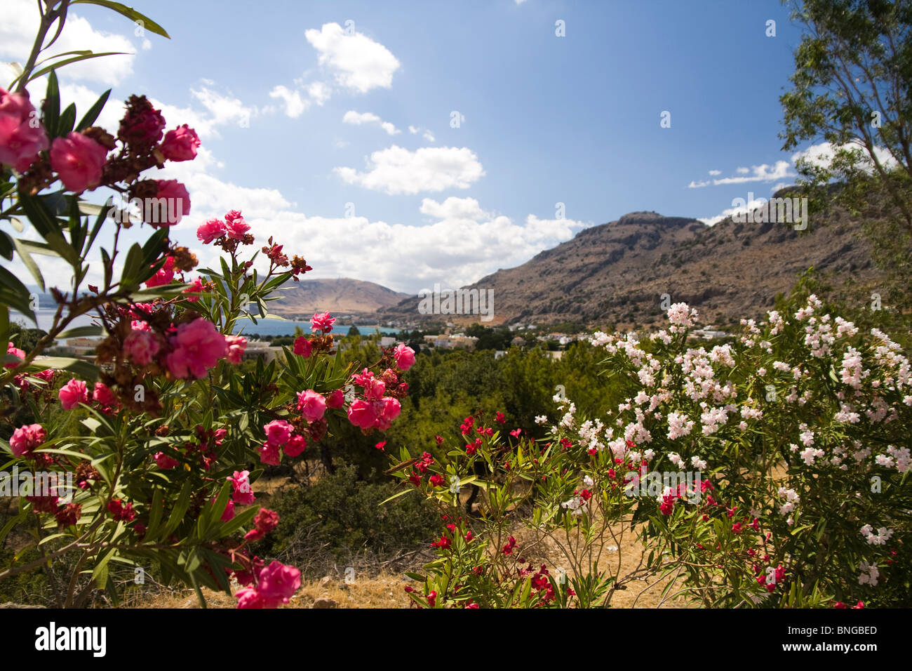 Hills of Pefkos on Rhodes Island, Greece and the surrounding flowers. Stock Photo