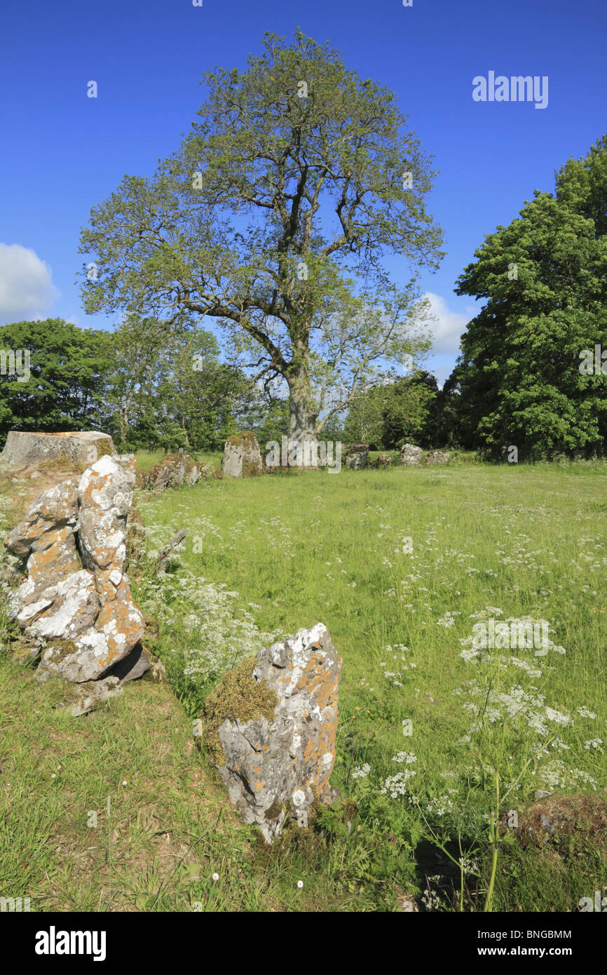 Grange Stone Circle in County Limerick, Rep. of Ireland. Stock Photo