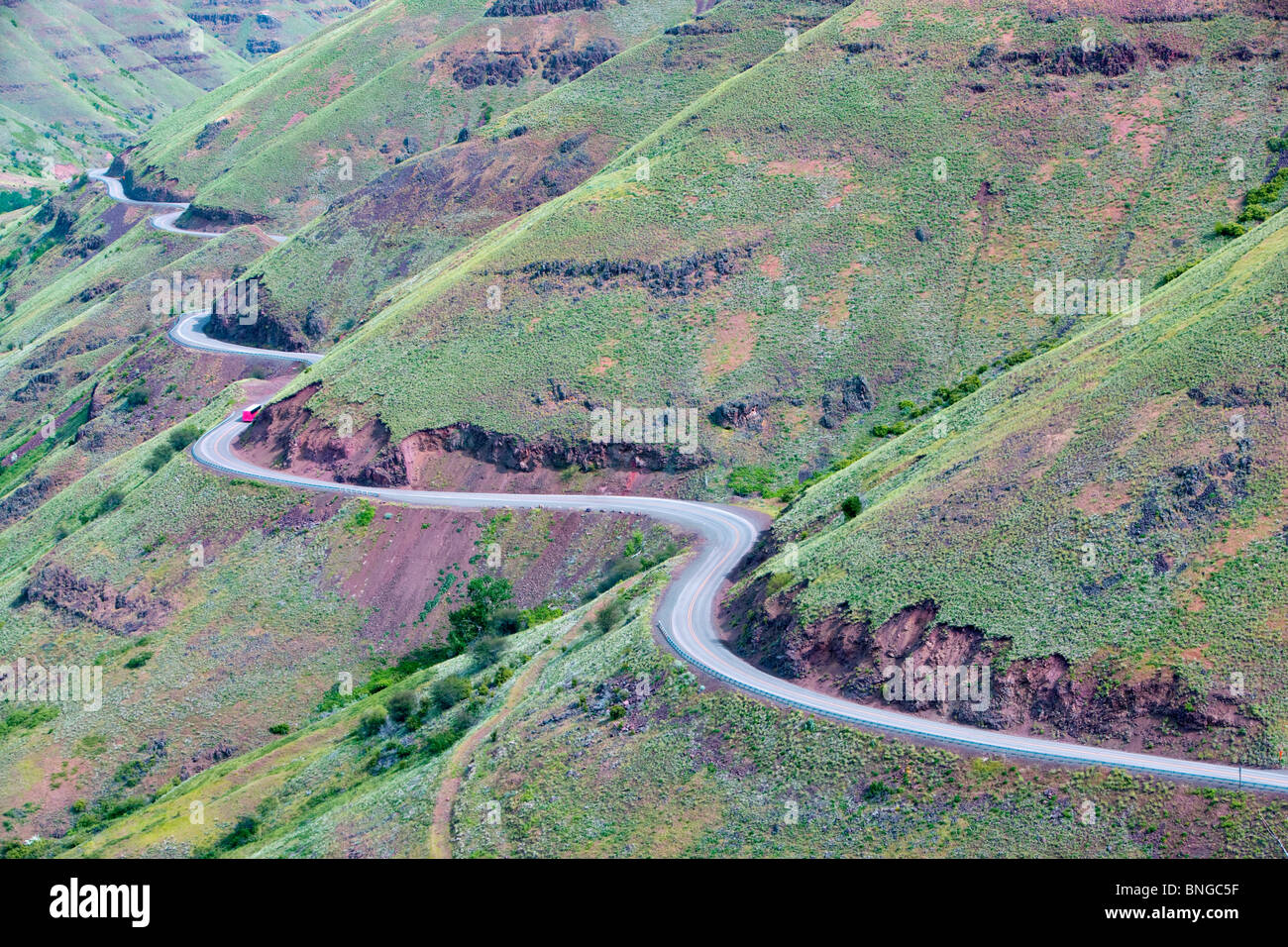 Enterprise/Lewiston Highway 129. with spring growth. Oregon Stock Photo