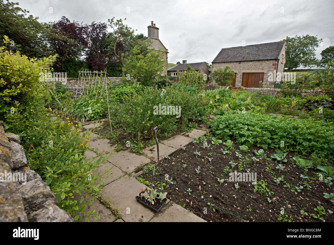 English vegetable garden Stock Photo Alamy