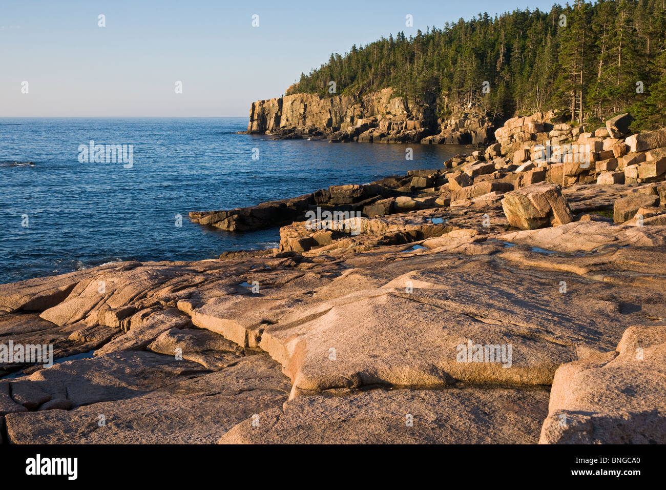 Otter Cliff, Early Morning, Acadia National Park, Mt. Desert Island