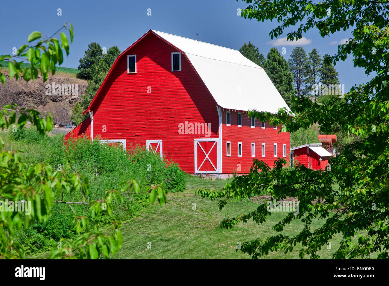 Red barn. The Palouse, near Colfax, Washington. Stock Photo