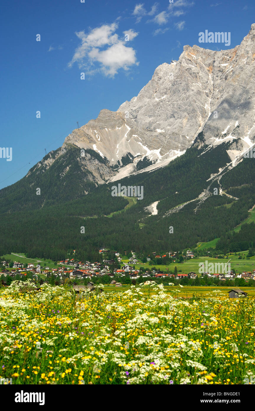 Summer in Tyrol, Mt. Zugspitze in the back, Ehrwald, Tyrol, Austria Stock Photo
