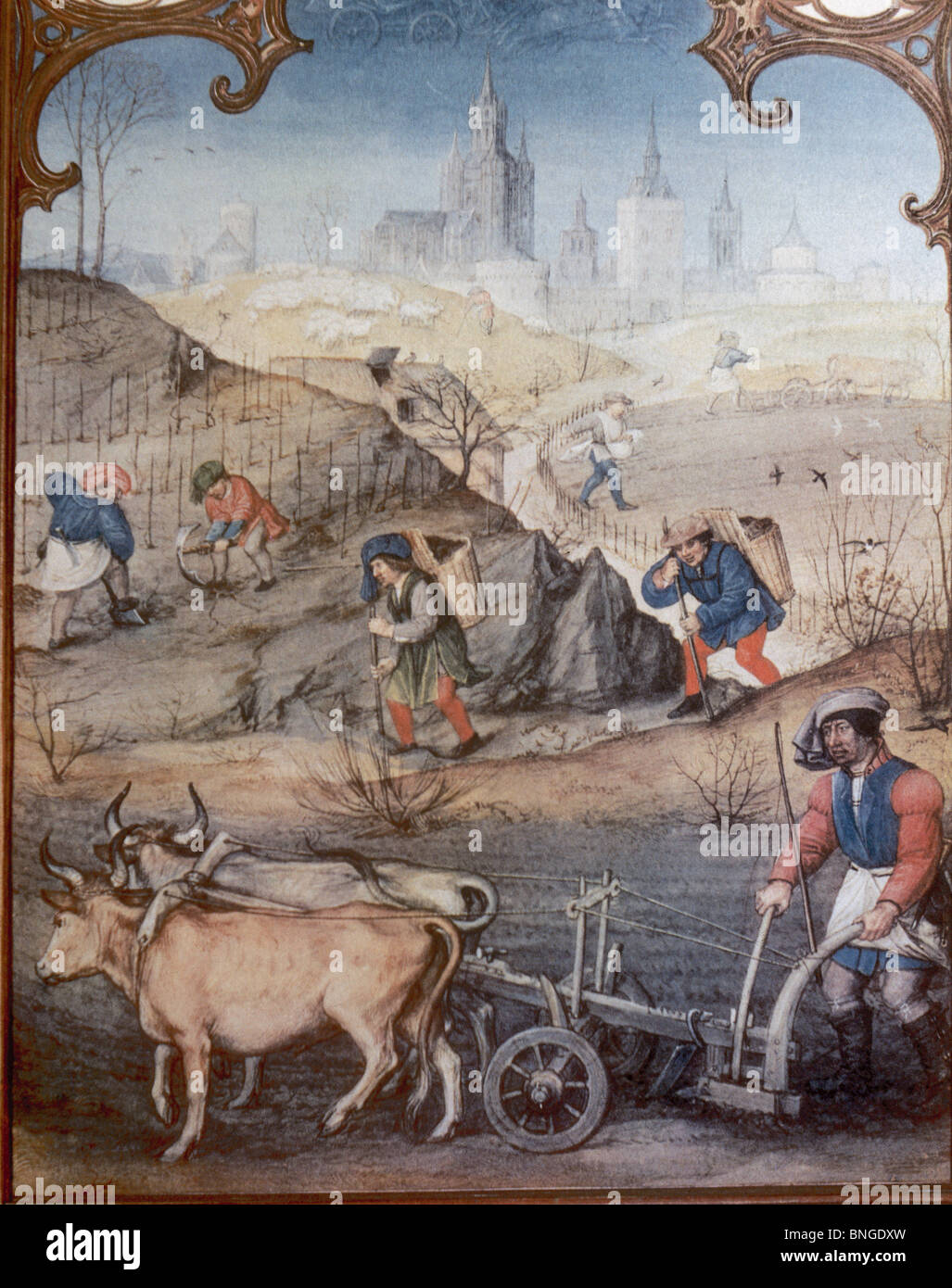 Farmers plowing and sowing. Miniature of 'Grimani Breviary'. Late 15th century. Saint Mark's Library. Venice. Italy. Stock Photo