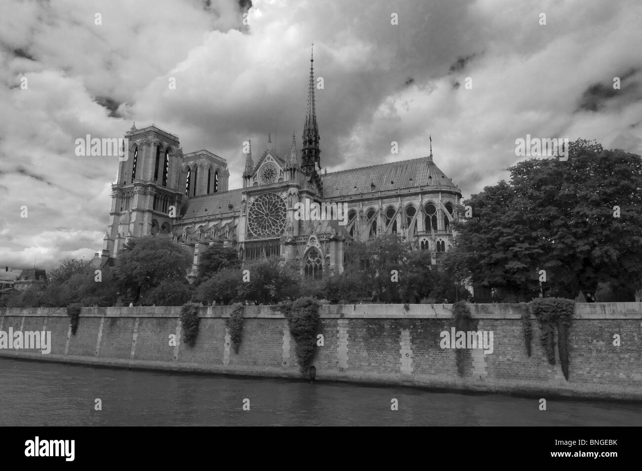 Cathedral at the waterfront, Notre Dame, Seine River, Paris, Ile-de-France, France Stock Photo