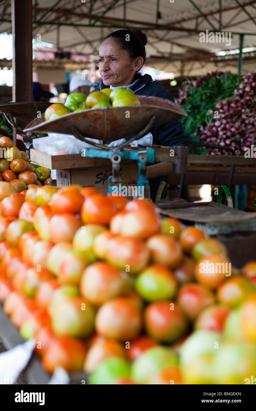 'Kiosks' Local farmers market Cuba Stock Photo Alamy