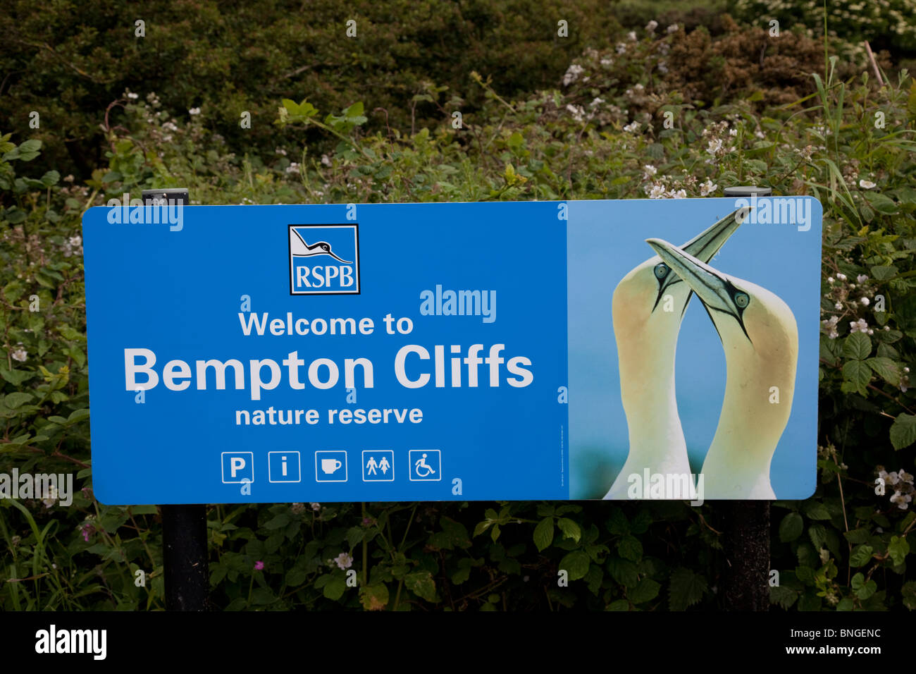 RSPB signboard at entrance to Bempton Cliffs Nature Reserve Bridlington East Yorkshire UK Stock Photo