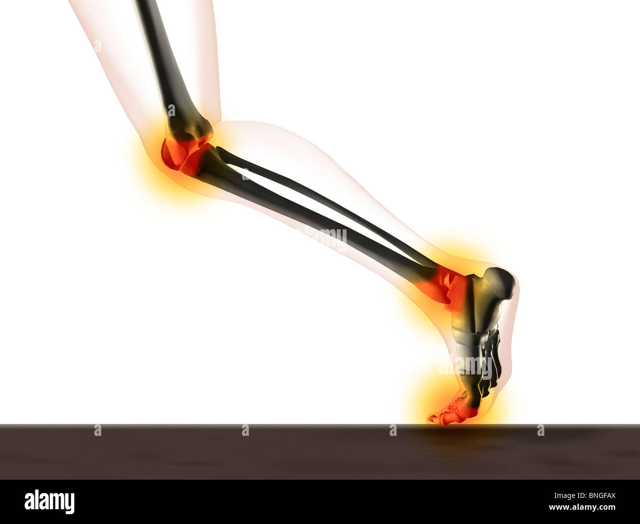 Knee ankle foot hires stock photography and images Alamy