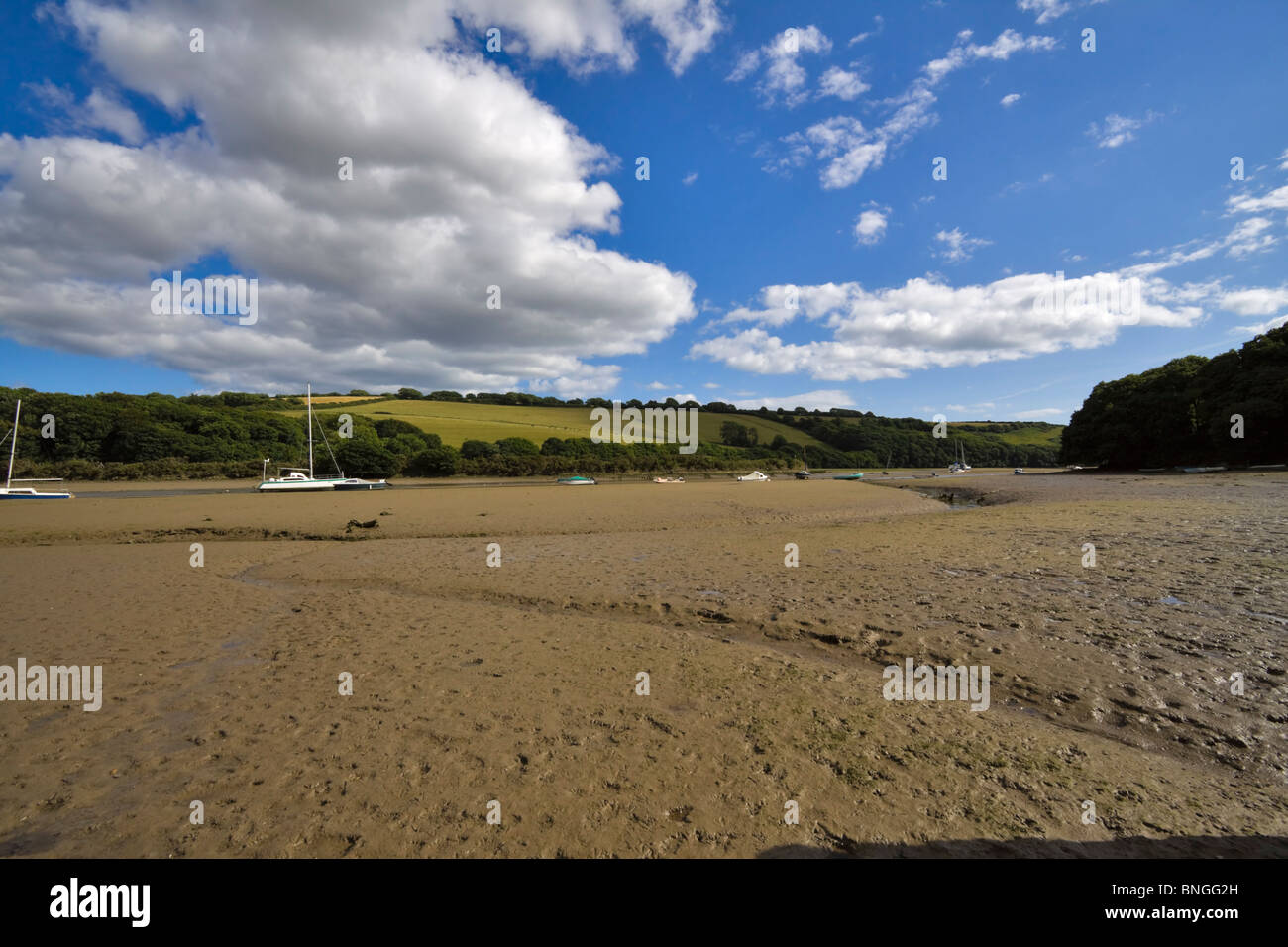 River avon estuary hires stock photography and images Alamy