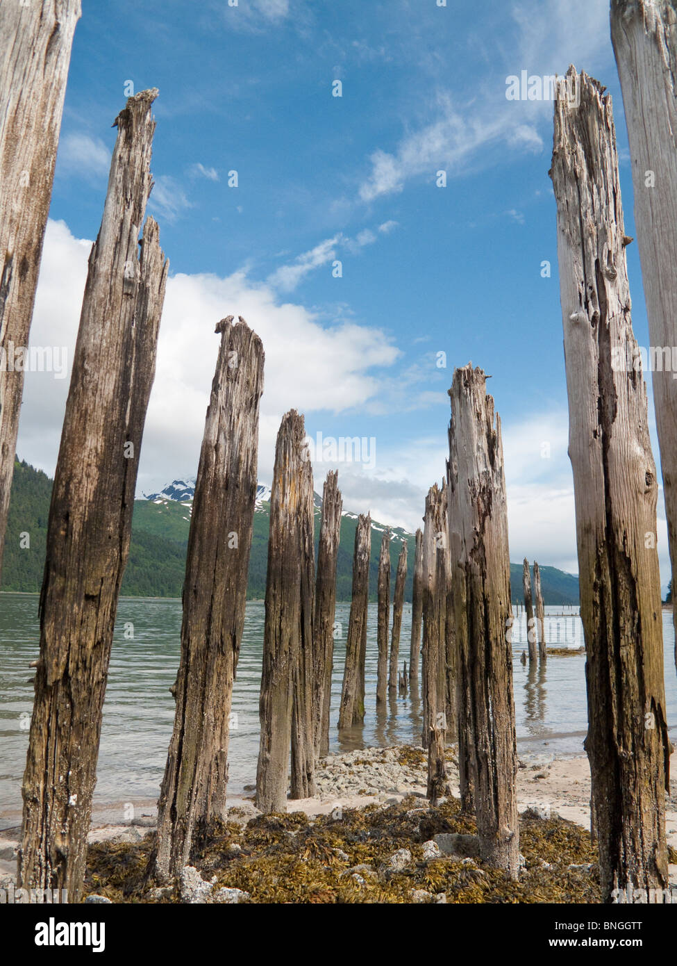 Pilings at the seaside, Treadwell Mine, Douglas Island, Juneau, Alaska