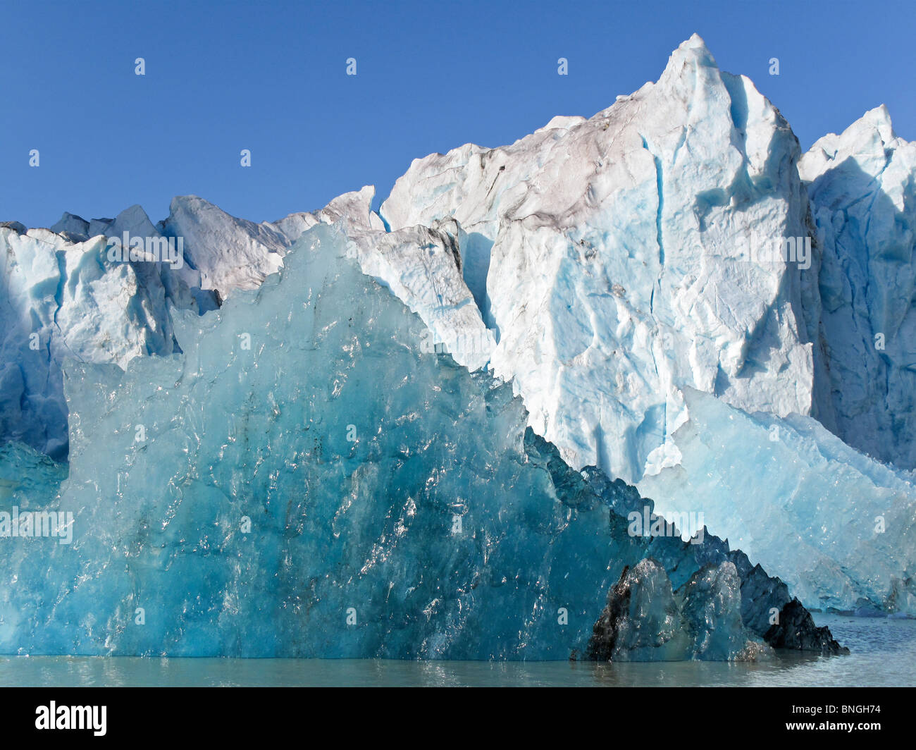 Iceberg floating on water, Reid Glacier, Glacier Bay National Park ...
