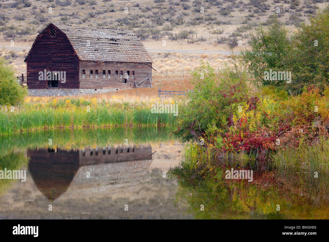 Reflection of a ranch building in pond, Haynes Ranch Buildings Preservation Project, Osoyoos, British Columbia, Canada Stock Photo