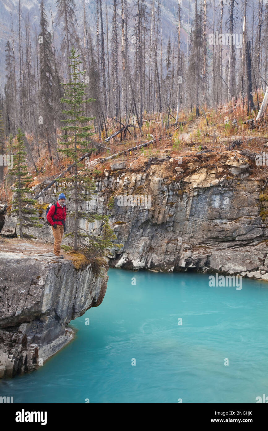 Hiker standing on a cliff in the forest of burnt trees, Kootenay River, Marble Canyon, Kootenay National Park, British Stock Photo