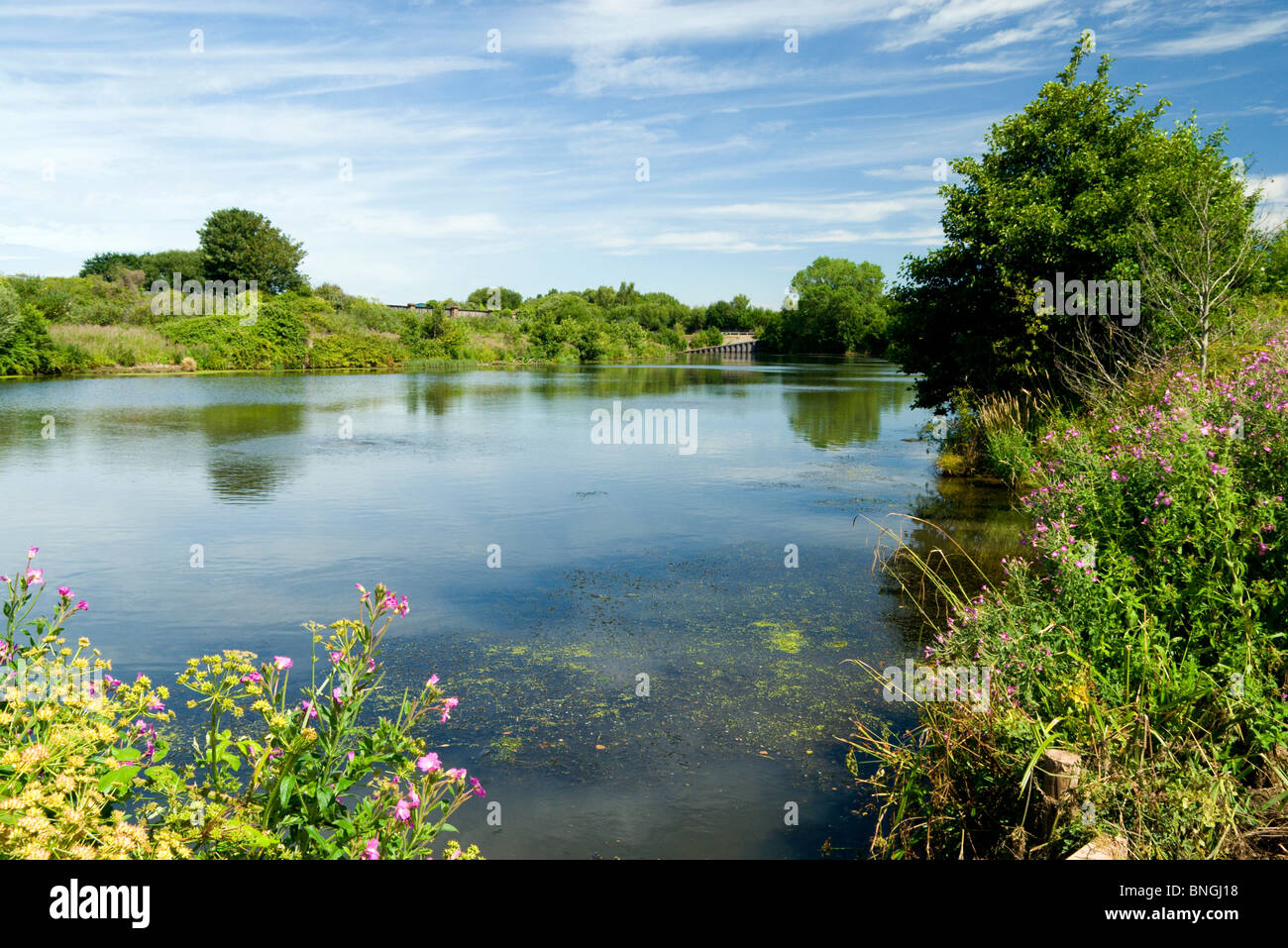 Cardiff fishing hires stock photography and images Alamy