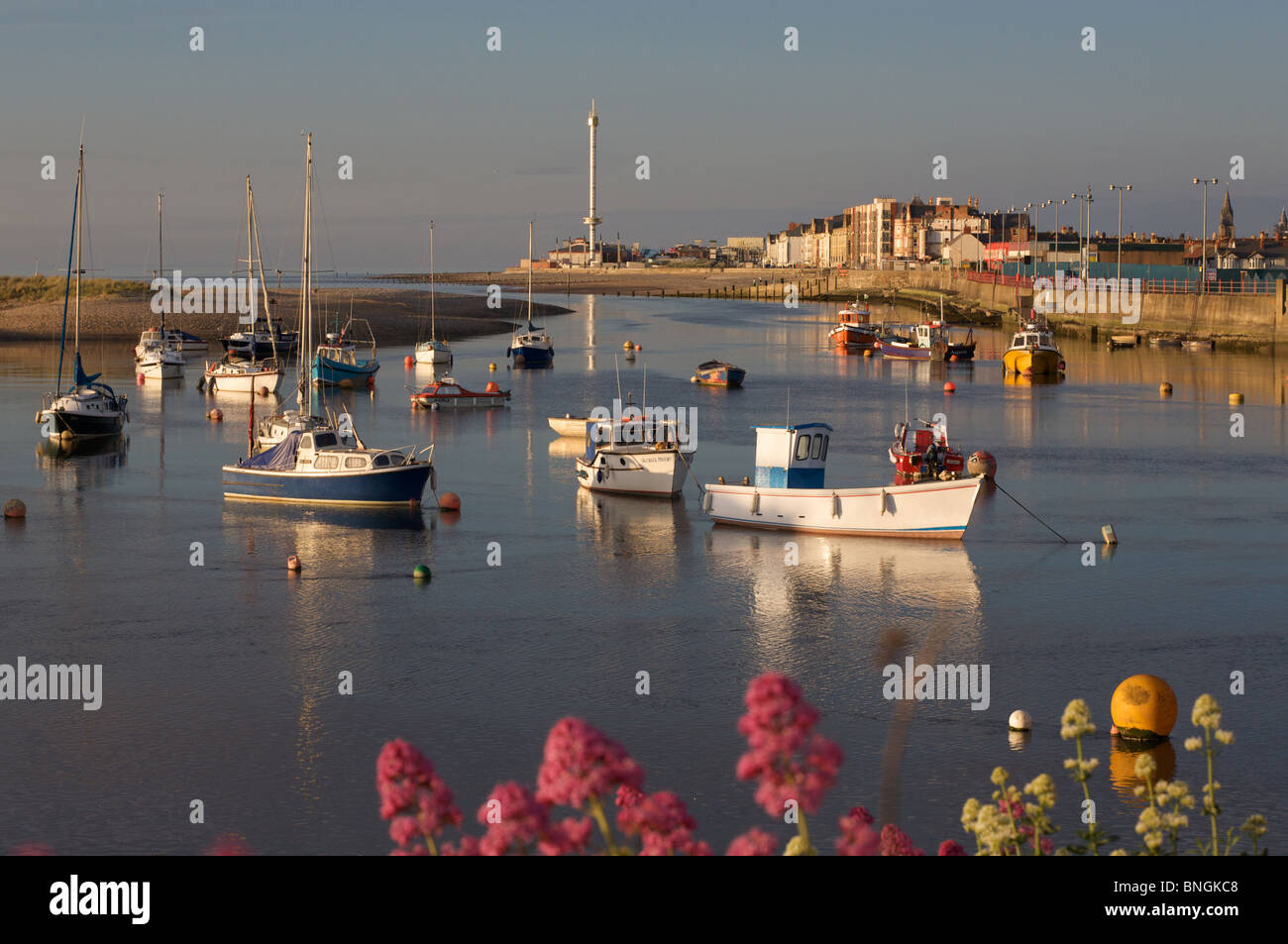 Boats moored in Foryd Harbour, Rhyl at the mouth of the River Clwyd; in the background Rhyl Sky Tower. Stock Photo