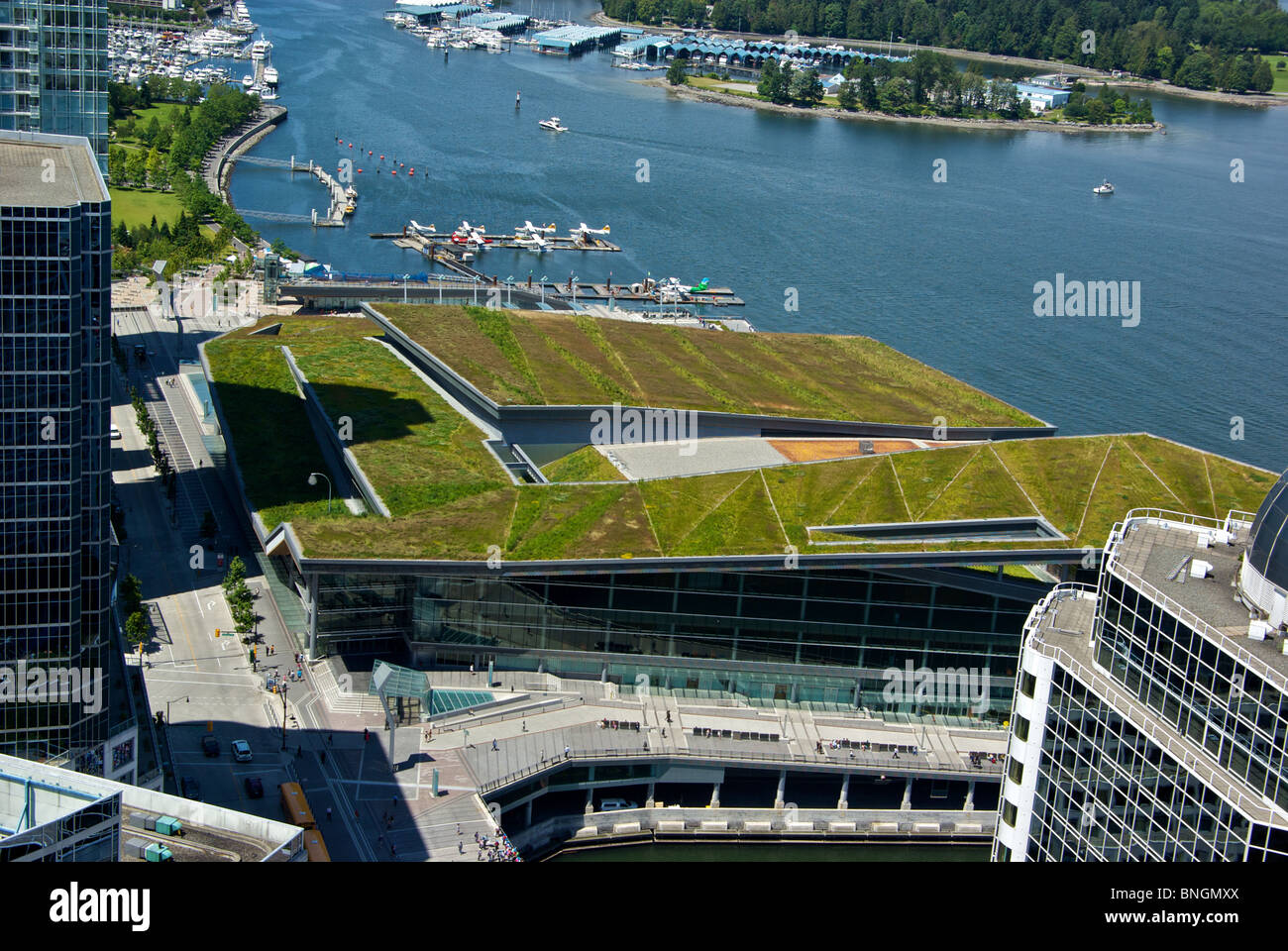 Environmentally friendly green roof with native drought resistant plants grasses Vancouver Trade and Convention Centre addition Stock Photo